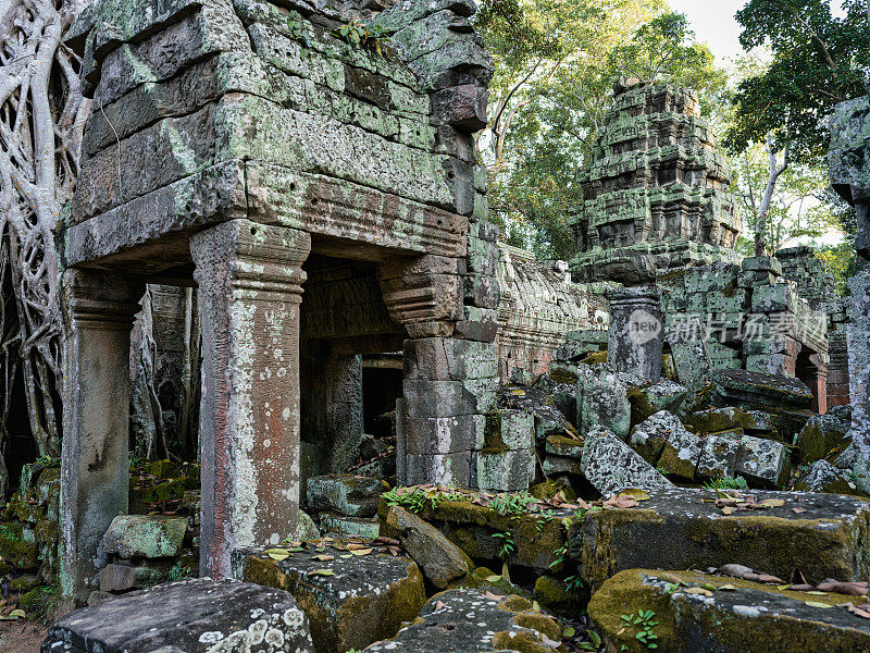 柬埔寨暹粒吴哥窟Ta Prohm寺庙建筑群